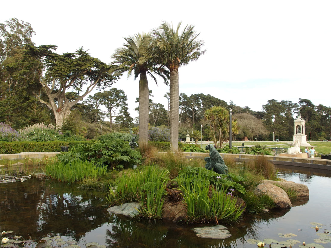 The de Young Museum in Golden Gate Park, San Francisco, venue for the 2026 Celebration of Iranian Cinema